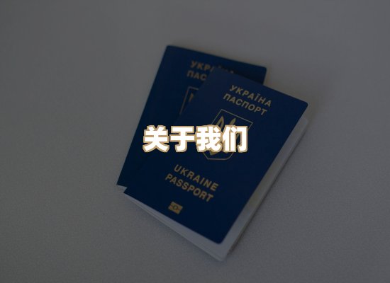 关于天岚学历排版网